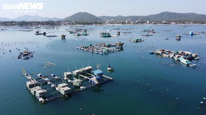 Nuôi thuỷ sản tự phát, ‘thủ phủ tôm hùm’ Đắk Lắk nhận rủi ro gấp đôi sau bão Nuôi thuỷ sản tự phát, ‘thủ phủ tôm hùm’ Đắk Lắk nhận rủi ro gấp đôi sau bão