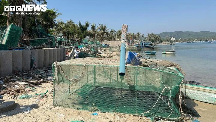 Nuôi thuỷ sản tự phát, ‘thủ phủ tôm hùm’ Đắk Lắk nhận rủi ro gấp đôi sau bão Nuôi thuỷ sản tự phát, ‘thủ phủ tôm hùm’ Đắk Lắk nhận rủi ro gấp đôi sau bão