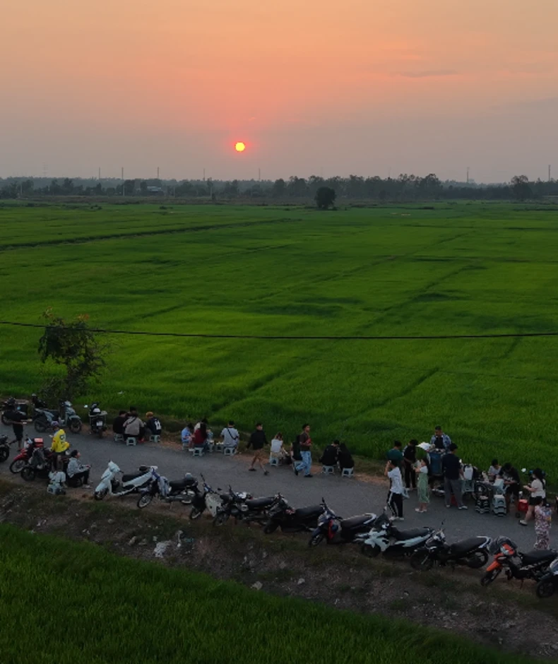 Ở TP.HCM xuất hiện cánh đồng lúa xanh mướt, chiều nào cũng đông người ngắm hoàng hôn Ở TP.HCM xuất hiện cánh đồng lúa xanh mướt, chiều nào cũng đông người ngắm hoàng hôn