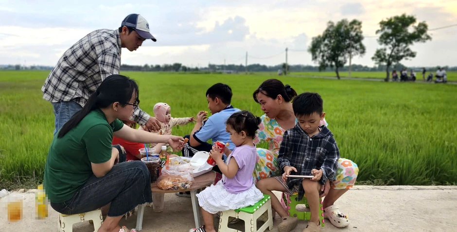 Ở TP.HCM xuất hiện cánh đồng lúa xanh mướt, chiều nào cũng đông người ngắm hoàng hôn Ở TP.HCM xuất hiện cánh đồng lúa xanh mướt, chiều nào cũng đông người ngắm hoàng hôn