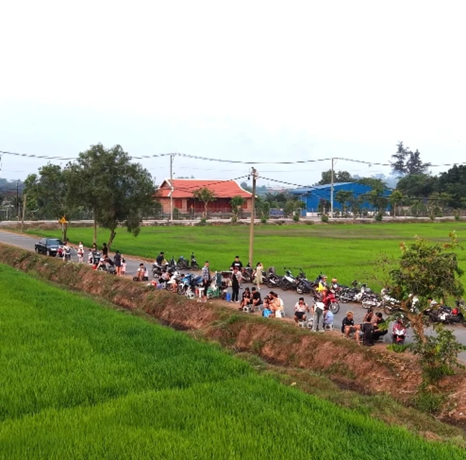 Ở TP.HCM xuất hiện cánh đồng lúa xanh mướt, chiều nào cũng đông người ngắm hoàng hôn Ở TP.HCM xuất hiện cánh đồng lúa xanh mướt, chiều nào cũng đông người ngắm hoàng hôn