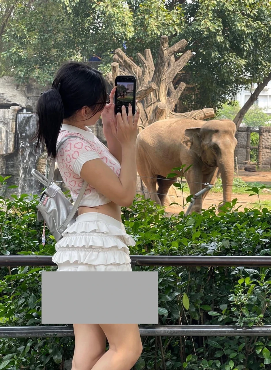 Phản cảm hình ảnh cô gái mặc váy ngắn đến lộ cả vòng 3 để đi Thảo Cầm Viên Phản cảm hình ảnh cô gái mặc váy ngắn đến lộ cả vòng 3 để đi Thảo Cầm Viên