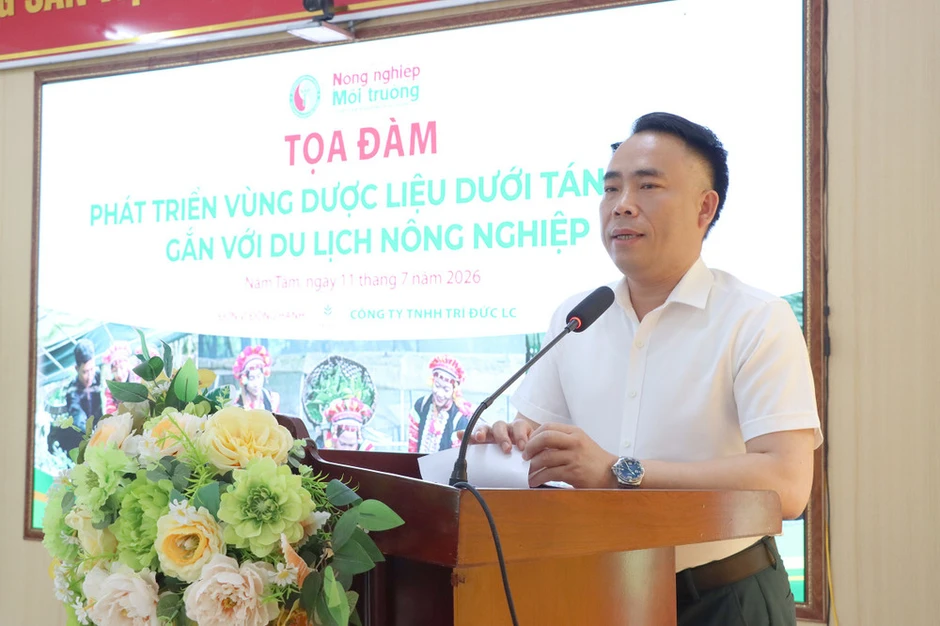 Phát triển vùng dược liệu dưới tán rừng gắn với du lịch nông nghiệp Phát triển vùng dược liệu dưới tán rừng gắn với du lịch nông nghiệp