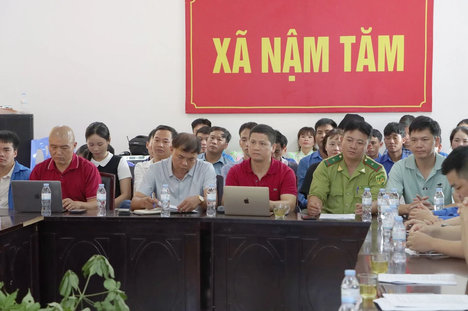 Phát triển vùng dược liệu dưới tán rừng gắn với du lịch nông nghiệp Phát triển vùng dược liệu dưới tán rừng gắn với du lịch nông nghiệp
