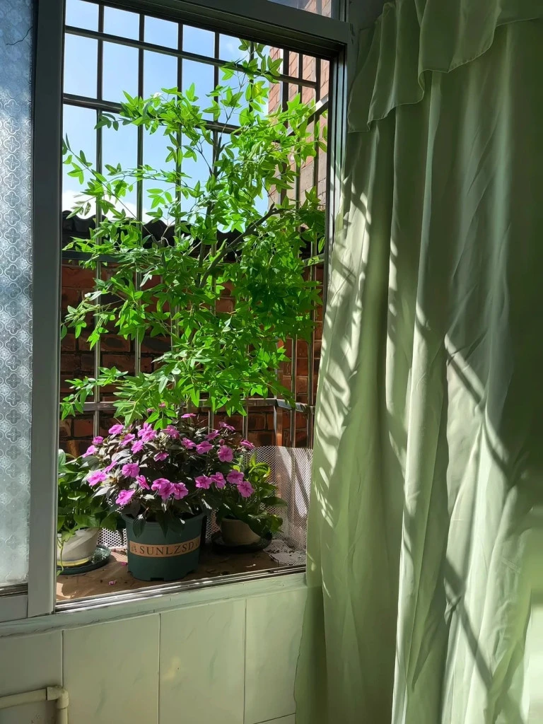 Phòng trọ 15m2 giá 1,1 triệu đồng/tháng của nữ sinh SN 2005 Phòng trọ 15m2 giá 1,1 triệu đồng/tháng của nữ sinh SN 2005