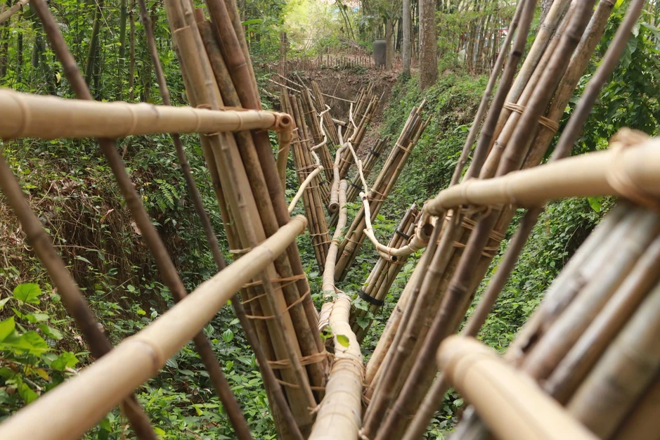 Phú An - 'ngân hàng tre' lớn nhất Việt Nam, xanh mát giữa vùng công nghiệp Phú An - 'ngân hàng tre' lớn nhất Việt Nam, xanh mát giữa vùng công nghiệp