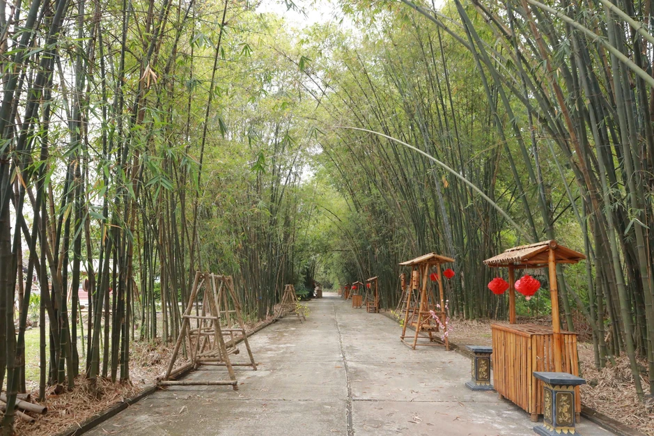 Phú An - 'ngân hàng tre' lớn nhất Việt Nam, xanh mát giữa vùng công nghiệp Phú An - 'ngân hàng tre' lớn nhất Việt Nam, xanh mát giữa vùng công nghiệp