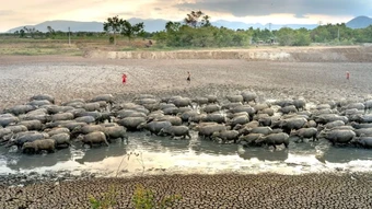 Quản trị rủi ro thiên tai do tác động của El Nino
