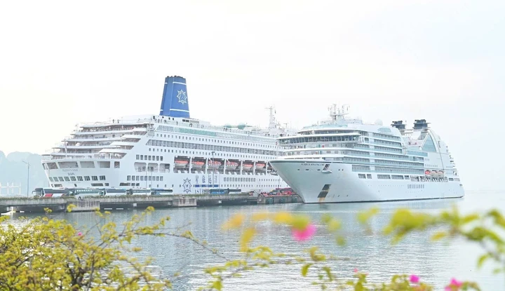 Quảng Ninh triển khai loạt giải pháp hút 22 triệu lượt khách năm 2026 Quảng Ninh triển khai loạt giải pháp hút 22 triệu lượt khách năm 2026
