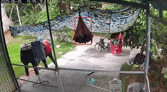Shipper đến nhà lấy đơn hàng hoàn nhưng không có ai, chủ về trích xuất camera an ninh đăng khắp nơi Shipper đến nhà lấy đơn hàng hoàn nhưng không có ai, chủ về trích xuất camera an ninh đăng khắp nơi