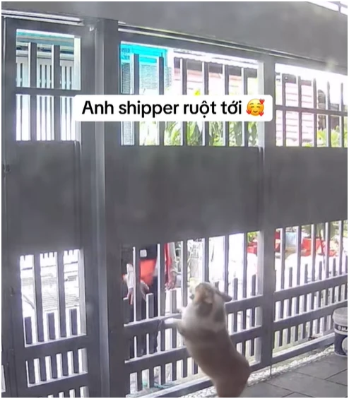 Shipper đến phòng trọ giao hàng, chuyện gì xảy ra khiến chủ trích xuất camera đăng lên mạng?