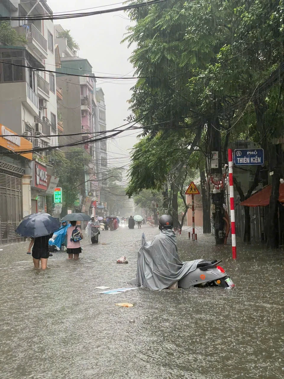 Sống 20 năm ở Hà Nội, người đàn ông lần đầu thấy cảnh bắt con cá vài kg giữa phố Sống 20 năm ở Hà Nội, người đàn ông lần đầu thấy cảnh bắt con cá vài kg giữa phố
