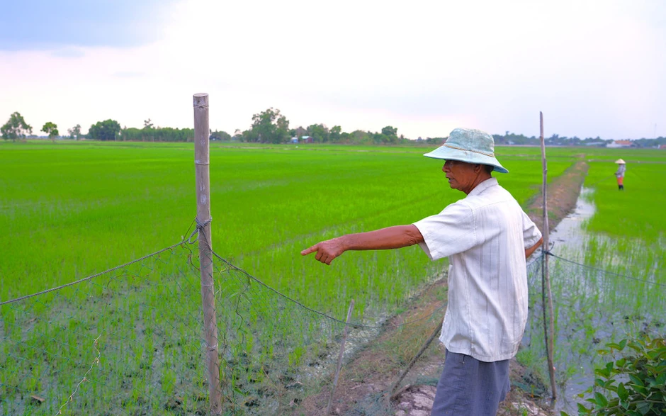 Sông Vàm Cỏ Đông ô nhiễm nặng Sông Vàm Cỏ Đông ô nhiễm nặng