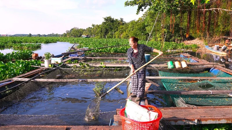 Sông Vàm Cỏ Đông ô nhiễm nặng Sông Vàm Cỏ Đông ô nhiễm nặng