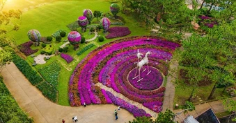 Summer In Love 2026 - Mùa hè của những trải nghiệm mới tại Thung Lũng Tình Yêu
