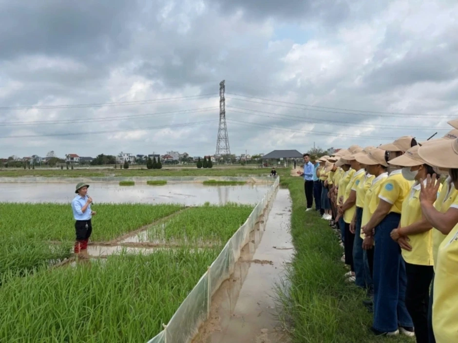 Syngenta tổ chức hội thảo cho phụ nữ nông thôn miền Bắc Syngenta tổ chức hội thảo cho phụ nữ nông thôn miền Bắc