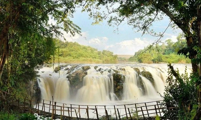 Tài sản 112 ha của ông Đặng Lê Nguyên Vũ Tài sản 112 ha của ông Đặng Lê Nguyên Vũ