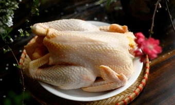 Tại sao không nên rửa thịt gà trước khi nấu? - Báo TinVina Cooking