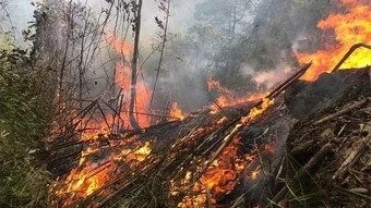 Tăng cường phòng cháy, chữa cháy rừng trong cao điểm nắng nóng