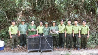 Thả 5 cá thể động vật hoang dã về môi trường tự nhiên ở Đắk Lắk