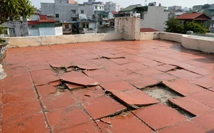 Tháng 10 âm: 2 con giáp giàu có, 1 con giáp thận trọng Tháng 10 âm: 2 con giáp giàu có, 1 con giáp thận trọng