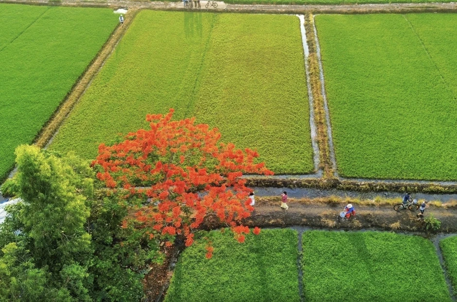 Tháng 6 dương lịch xuất hiện ngày đặc biệt, lịch âm có gì thú vị? Tháng 6 dương lịch xuất hiện ngày đặc biệt, lịch âm có gì thú vị?