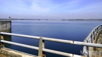 Thành phố Hồ Chí Minh cấm san lấp 67 hồ, ao để bảo đảm an ninh nguồn nước