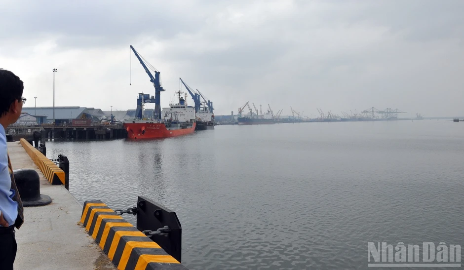 Thành phố Hồ Chí Minh: Giao 49ha vùng biển ngoài khơi Vũng Tàu để nhận chìm chất nạo vét Thành phố Hồ Chí Minh: Giao 49ha vùng biển ngoài khơi Vũng Tàu để nhận chìm chất nạo vét