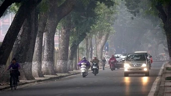 Thời tiết ngày 12/3: Bắc Bộ rét về đêm và sáng, miền nam nắng nóng cục bộ