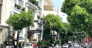 Thời tiết ngày 25/9: Bắc Bộ ngày nắng, Nghệ An đến Quảng Trị có mưa to