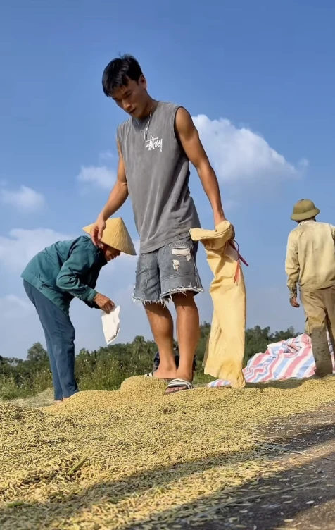 Thủ môn Bùi Tiến Dũng về quê phơi lúa cho mẹ Thủ môn Bùi Tiến Dũng về quê phơi lúa cho mẹ