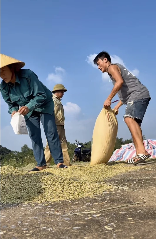 Thủ môn Bùi Tiến Dũng về quê phơi lúa cho mẹ Thủ môn Bùi Tiến Dũng về quê phơi lúa cho mẹ