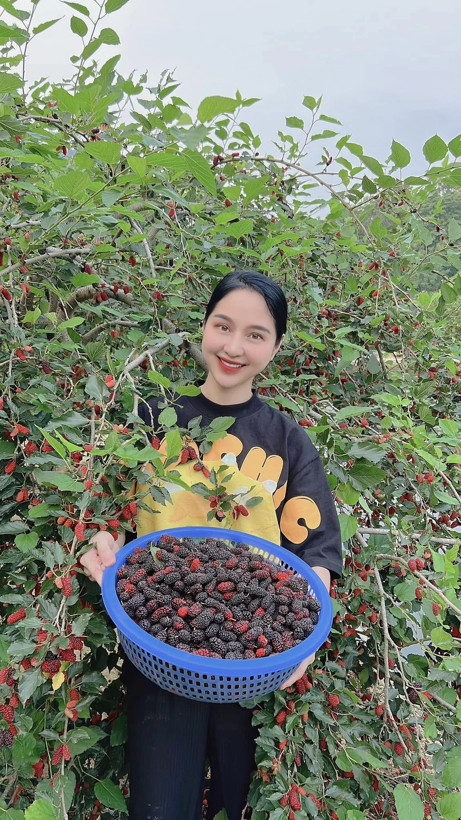 Thu nhập của cô gái Lào Cai bán thịt trâu gác bếp nổi tiếng Việt Nam, từng vỡ nợ, nhà trồng đào, trồng mai Thu nhập của cô gái Lào Cai bán thịt trâu gác bếp nổi tiếng Việt Nam, từng vỡ nợ, nhà trồng đào, trồng mai