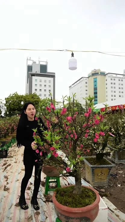 Thu nhập của cô gái Lào Cai bán thịt trâu gác bếp nổi tiếng Việt Nam, từng vỡ nợ, nhà trồng đào, trồng mai Thu nhập của cô gái Lào Cai bán thịt trâu gác bếp nổi tiếng Việt Nam, từng vỡ nợ, nhà trồng đào, trồng mai