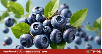 Thực phẩm màu tím giúp trẻ hóa làn da từ bên trong