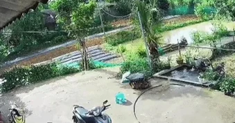 Tiếng hét của bé trai ở Tuyên Quang cứu em gái thoát chết dưới bể nước