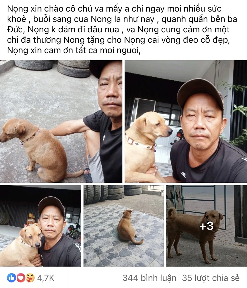 Tìm chó cưng tên Nọng suốt 1 tháng: Cộng đồng mạng dõi theo cái kết Tìm chó cưng tên Nọng suốt 1 tháng: Cộng đồng mạng dõi theo cái kết