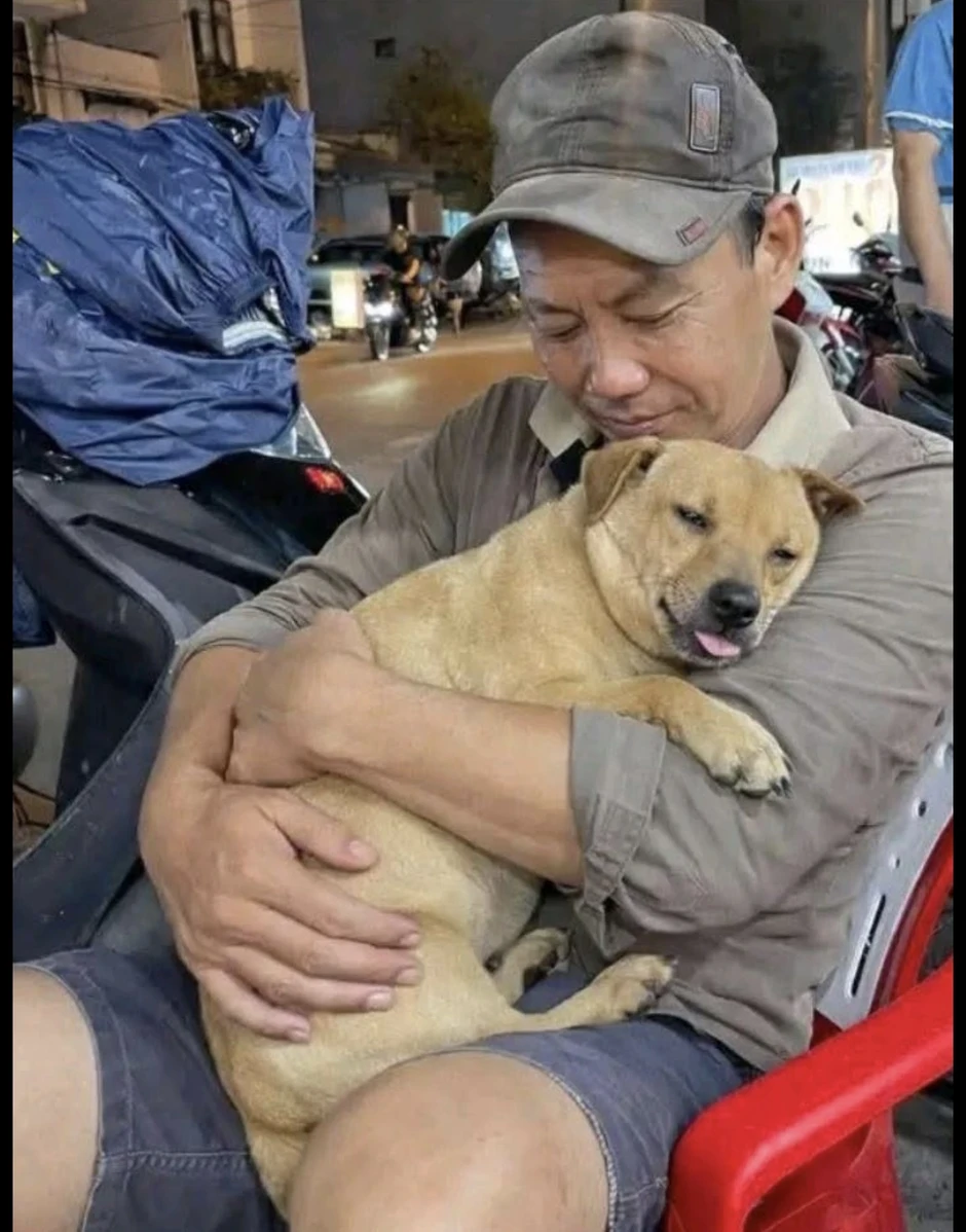 Tìm chó cưng tên Nọng suốt 1 tháng: Cộng đồng mạng dõi theo cái kết Tìm chó cưng tên Nọng suốt 1 tháng: Cộng đồng mạng dõi theo cái kết