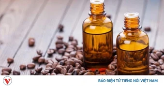 Tinh dầu cà phê: “Bí mật” ít người biết đằng sau hương thơm quen thuộc