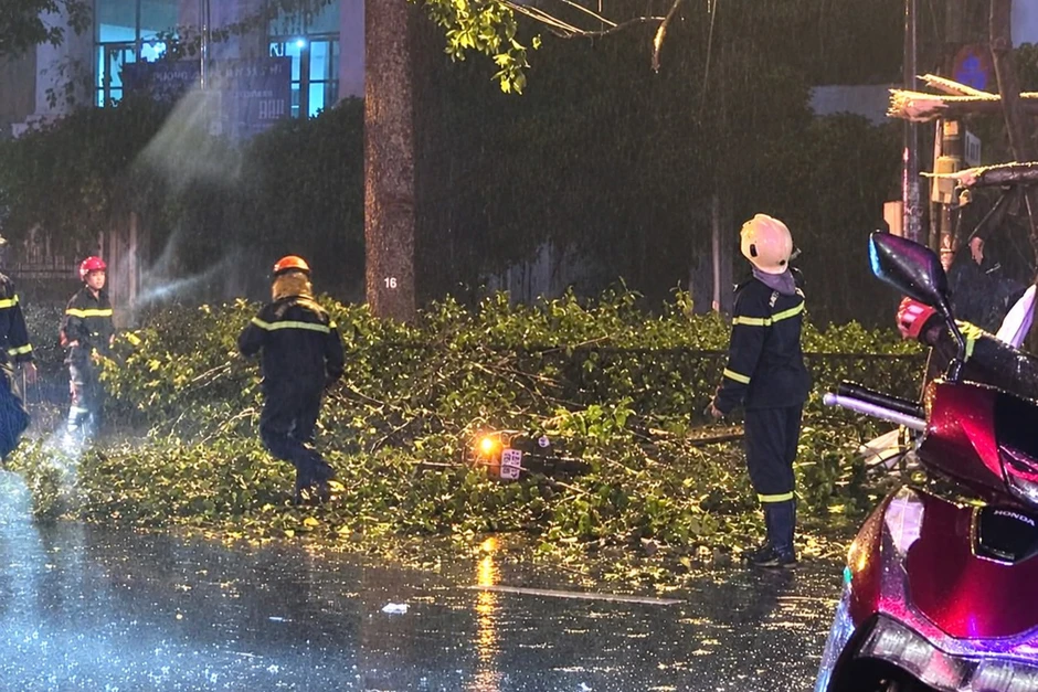 TPHCM: Nhánh cây lớn rơi trúng xe máy, hai vợ chồng thương vong TPHCM: Nhánh cây lớn rơi trúng xe máy, hai vợ chồng thương vong