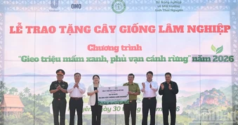 Trao tặng 86.300 cây giống lâm nghiệp cho tỉnh Thái Nguyên