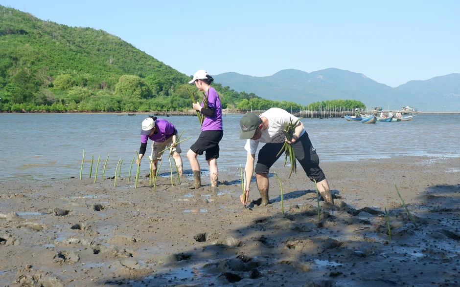Trồng 10.000 cây đước ở đầm Nha Phu, chung tay ứng phó với biến đổi khí hậu Trồng 10.000 cây đước ở đầm Nha Phu, chung tay ứng phó với biến đổi khí hậu
