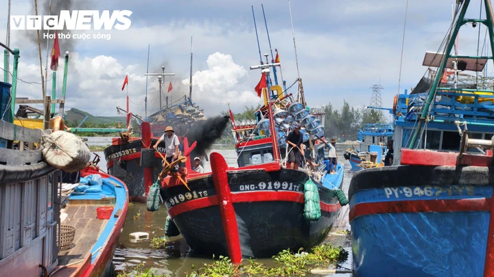 Trúng đậm cá cơm trái vụ, ngư dân Quảng Ngãi 'bỏ túi' bạc triệu mỗi ngày Trúng đậm cá cơm trái vụ, ngư dân Quảng Ngãi 'bỏ túi' bạc triệu mỗi ngày