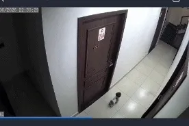 Từ vụ thanh niên ở Hải Phòng đá chết chó cưng: Tranh cãi việc chó thả rông Từ vụ thanh niên ở Hải Phòng đá chết chó cưng: Tranh cãi việc chó thả rông