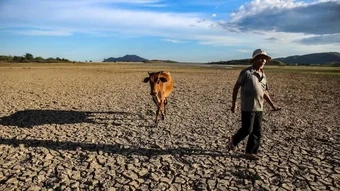 Ứng phó tác động của El Nino