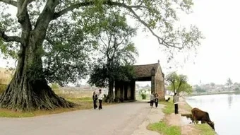 Về Đường Lâm, thưởng thức quà quê