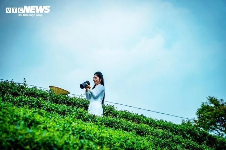 Về nơi 65 năm gìn giữ hương trà tại vùng biên Quảng Ninh Về nơi 65 năm gìn giữ hương trà tại vùng biên Quảng Ninh