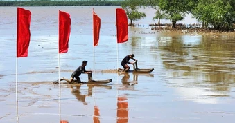 Về xứ biển Cần Thơ xem đua mong trên bãi bùn