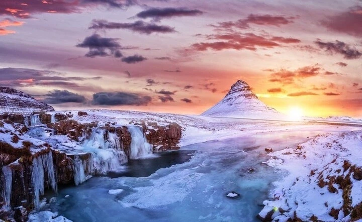 Vì sao Iceland không có con muỗi nào?