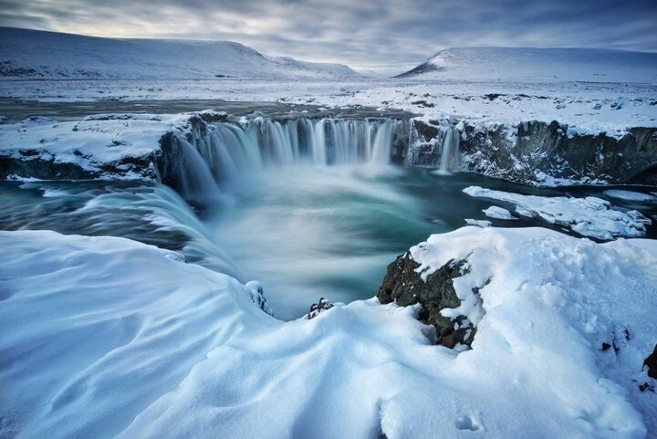 Vì sao Iceland không có con muỗi nào?